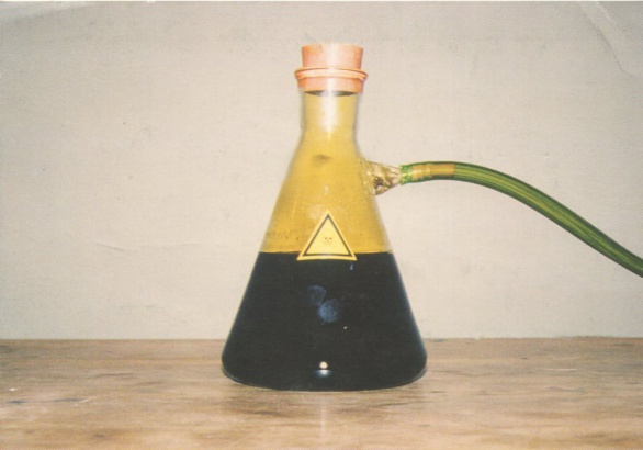 Tomáš Ruller: Aqua regia - Lučavka královská