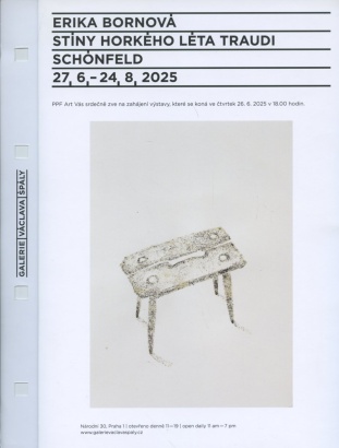 Erika Bornová: Stíny horkého léta Traudi Schönfeld