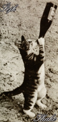 Simona V uvádí: Shake - Šejk